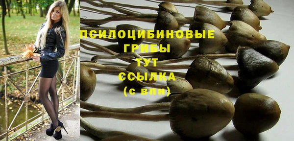 Альфа ПВП Билибино