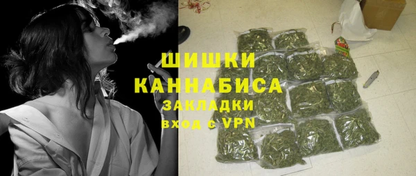 молекула духа Бикин