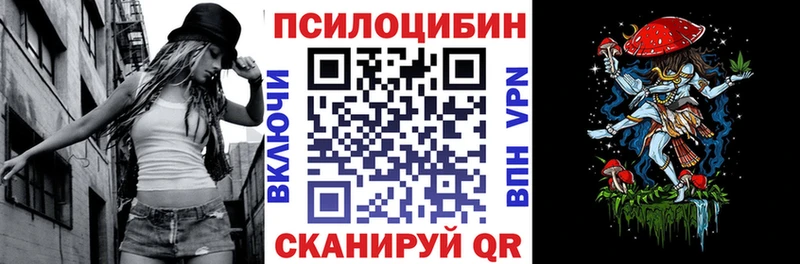 Купить  Корсаков  Псилоцибиновые грибы мицелий 